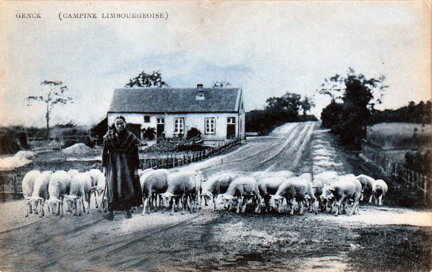Original: Shepherdess, Genk